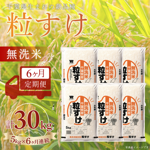 ＜6か月定期便＞ 千葉県産「粒すけ」無洗米 5kg×6か月連続 計30kg A094
