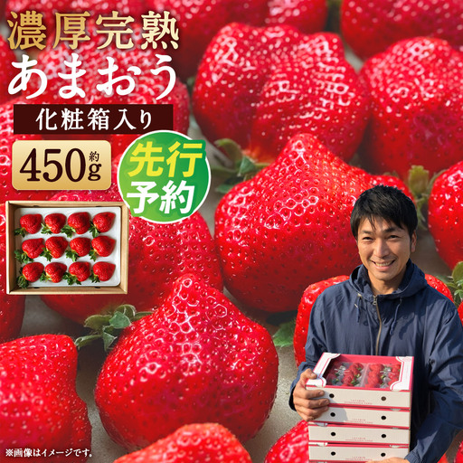 化粧箱入り 特別栽培 の 濃厚 完熟 あまおう 約450g 1パック 【2026年12月上旬～2027年4月下旬まで発送予定】 いちご 苺 果物 フルーツ