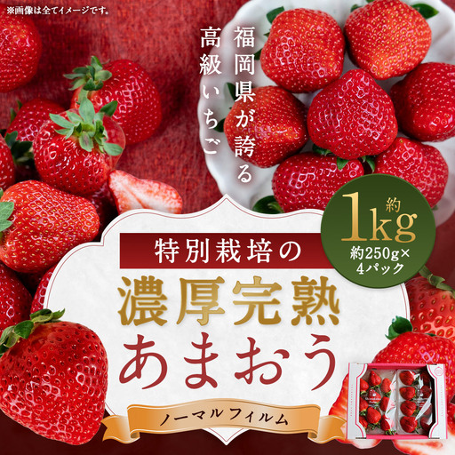 特別栽培 の 濃厚 完熟 あまおう 約1kg 約250g×4パック 【2026年12月上旬～4月下旬まで発送予定】 いちご 苺 果物 フルーツ