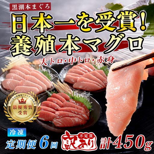 訳あり まぐろ マグロ 本鮪 黒潮本まぐろ 赤身 中トロ 大トロ 定期便 6回 計450g × 6回