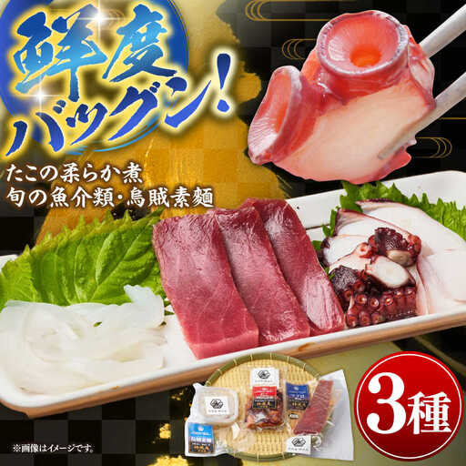 壱岐産 海鮮3種セット（烏賊素麺・たこの柔らか煮・旬の魚介類）《壱岐市》【神洸水産】 たこ タコ いか イカ 刺身 刺し身 海鮮 鮮魚 海産物　[JFI006]