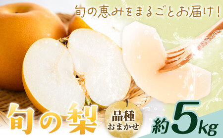 【先行予約】旬の梨 品種おまかせ 約5kg 日本フルーツ株式会社《2027年8月上旬-10月上旬頃出荷》熊本県 菊池市 梨 なし 豊水 秋月 新高 和梨 熊本県産