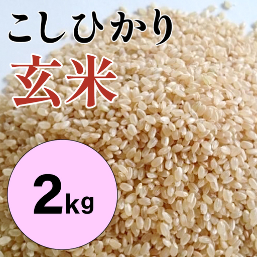 大山の一粒 玄米 2kg[玄米 2kg 2キロ こめ コメ げんまい ゲンマイ 先行予約 お米 こしひかり コシヒカリ ごはん ライス 国産 お取り寄せ 鳥取県 大山町]