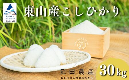 【先行予約】令和8年産 コシヒカリ 精米 30kg  コシヒカリ こしひかり 元田農産