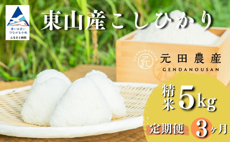 [先行予約][定期便]令和8年産 コシヒカリ 精米5kg×3ヶ月(毎月) お米 白米 こしひかり|石川県 小松市[元田農産]