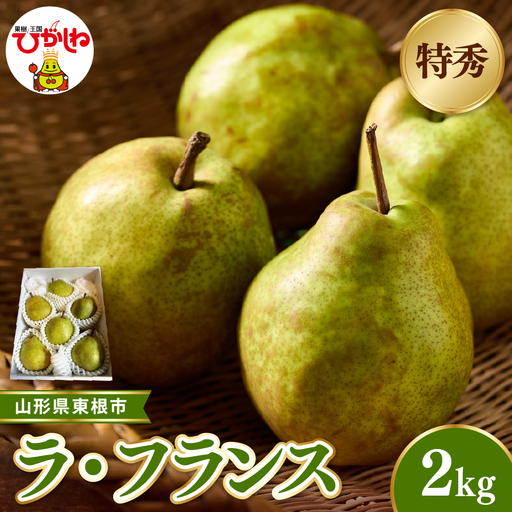[2026年産]ラ・フランス約2kg(玉数おまかせ)特秀品 ラフランス