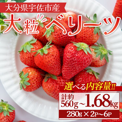 ＜10月1日から先行予約受付開始！＞＜2027年1月上旬～3月下旬の間に発送予定＞大粒いちご(計約560g・280g×2P)苺 イチゴ フルーツ 果物 くだもの 果実 ベリーツ【117900400】【Farm U.S.A.】