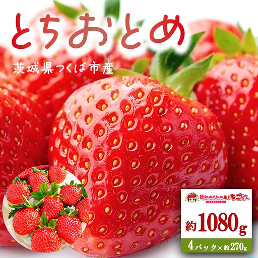 いちご 茨城県産とちおとめ 約1080g いちご