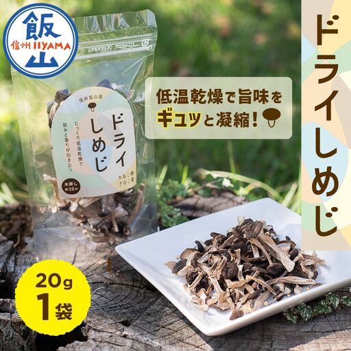  ＼ ドライぶなしめじ ／ 20g　1袋 （Bz-001）きのこ