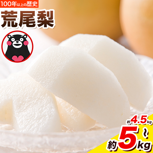 梨 荒尾梨 約4.5〜5kg(6〜22玉)