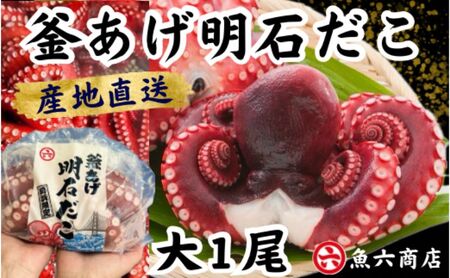 ほんまにうまい 釜あげ明石だこ 大 1尾 たこ 海鮮
