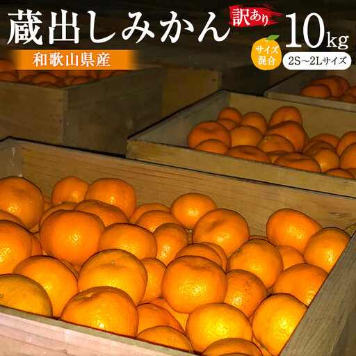 訳あり 蔵出しみかん 約10kg 2S～2Lサイズ混合