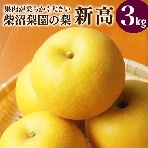 新高 梨 3kg 柴沼梨園の梨 BX-023