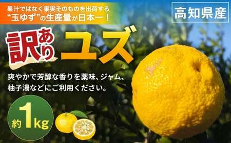 （訳あり） ユズ 約1kg ゆず 柚子 果物 くだもの フルーツ 常温 【2026年11月上旬～12月下旬迄発送予定】
