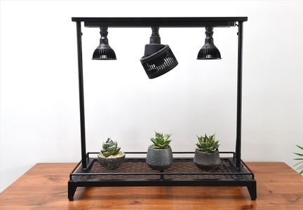 ライティングレール付き植物棚 ボタニカルラック Wstandard [丹波市] インテリア 家具