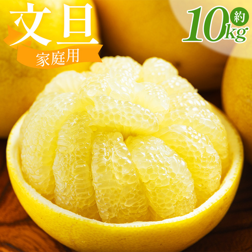 土佐文旦 家庭用 10kg （L〜2L混合） 文旦 nm-0009