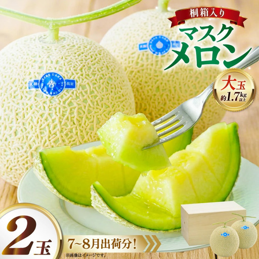 AJ652 【令和8年7-8月出荷分】 堀農園 マスクメロン 2玉 特選 大玉 桐箱