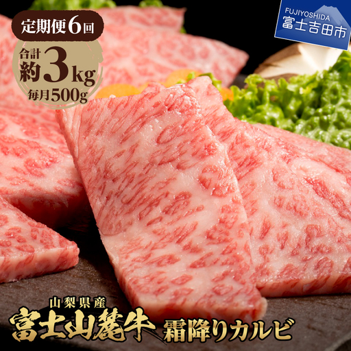 牛肉 【6ヶ月お届け】山梨県産 富士山麓牛 霜降りカルビ 500g 定期便