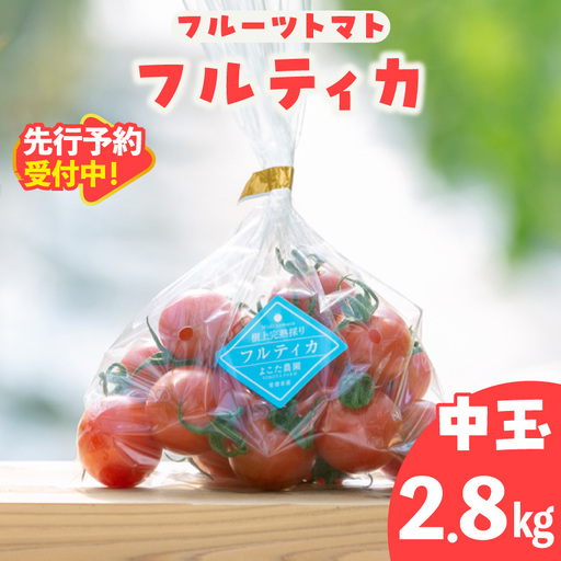 【先行予約】【2027年1月中旬以降発送】フルーツトマト　中玉フルティカ2.8kg│よこた農園 フルティカ 野菜 トマト 新鮮野菜 太陽の恵み 中玉トマト トマト料理 愛知県産 フルーツとまと 甘いトマト お取り寄せ グルメ 常滑市