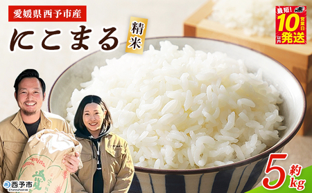 [令和7年産 西予市産 にこまる 精米 約5kg] ニコマル お米 米 コメ こめ 白米 国産米 単一原料 ご飯 5キロ お弁当 おにぎり 特産品 愛媛県産 株式会社宇都宮米穀 愛媛県 西予市[常温]『最短10営業日以内に順次出荷予定』NKU0007