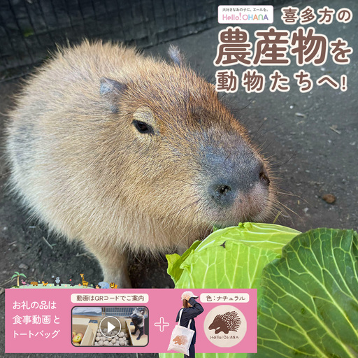 [動物推し活サービス]全国の動物たちに"喜多方の農産品"をプレゼント!〜動物デザインの「食事動画」「トートバッグ」が付いてきます〜 [カラー:ナチュラル] [07208-0729-D]