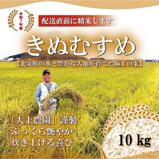 ＜令和7年産＞大上農園のきぬむすめ(精米・10kg) 【鳥取県 境港市】