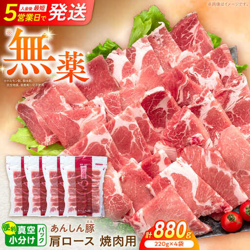 豚肉 肩ロース 焼肉用 計880g 藤井ファーム[AWAF062]豚肉 焼肉