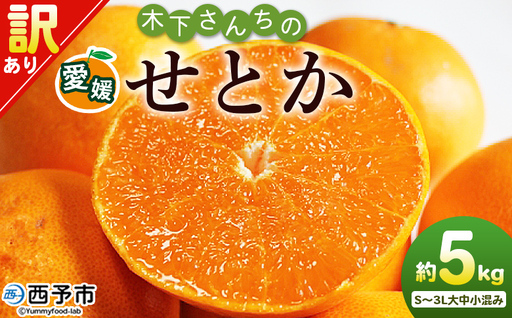 ＜木下さんちのせとか 訳あり 約5kg（S～3L大中小混み）＞ 訳アリ 家庭用 自宅用 柑橘 ミカン みかん 蜜柑 果物 くだもの フルーツ 国産 特産品 木下農園 愛媛県 西予市【常温】『2027年2月下旬～3月下旬に順次出荷』MKS0011