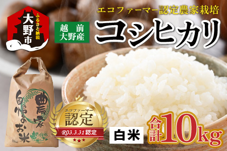 [先行予約][令和8年産 新米][有機栽培]越前大野産 エコファーマー認定農家栽培 コシヒカリ10kg(白米)[2026年10月より順次発送][A-001087]
