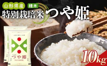 【令和7年産】山形県産 特別栽培米つや姫 精米10kg（5kg×2袋） F2Y-4809