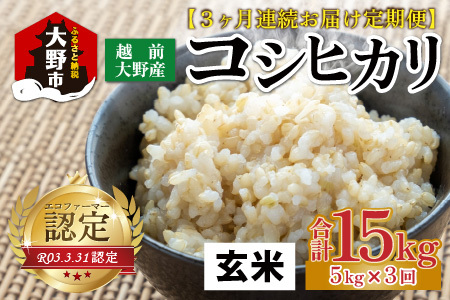 [先行予約][令和8年産 新米][3ヶ月定期便][玄米]越前大野産 エコファーマー認定農家栽培こしひかり 玄米 5kg × 3回 計15kg [2026年10月より順次発送]