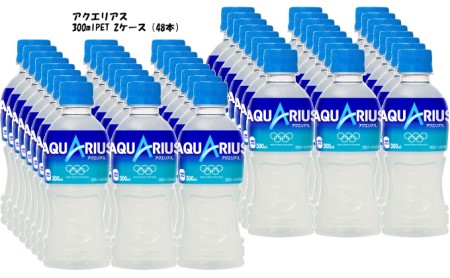 アクエリアス 300PET 24本入 ×2ケース
