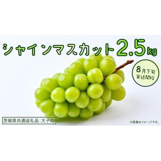 シャインマスカット 2.5kg 【2026年8月下旬発送開始】(茨城県共通返礼品：大子町)