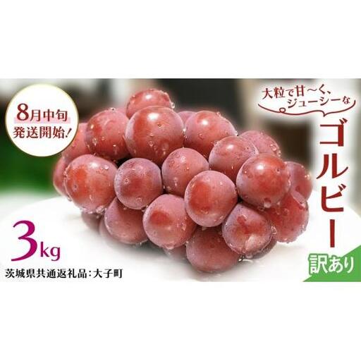 [ 訳あり ] ゴルビー 3kg [2026年8月中旬発送開始](茨城県共通返礼品:大子町)