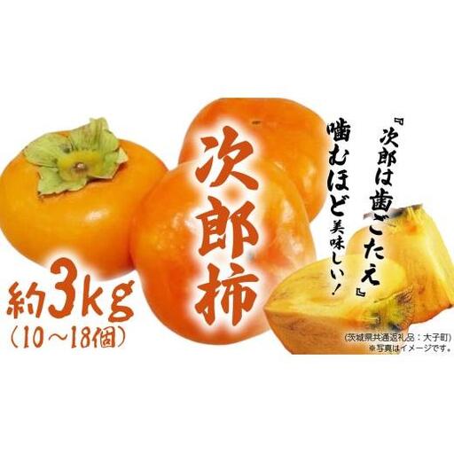 次郎柿 3kg [2026年9月上旬発送開始](茨城県共通返礼品:大子町)