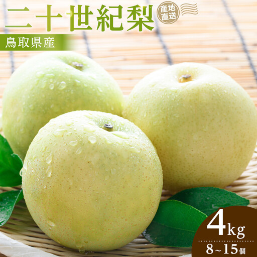 先行予約 二十世紀梨 4kg 2026年9月発送 梨