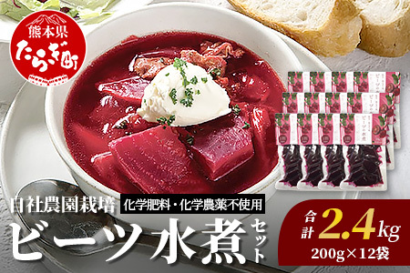 自社農園栽培 ビーツ 水煮 2.4kg (200g×12袋) 熊本県 産 国産 スーパーフード 高栄養 びーつ レトルト 115-0617