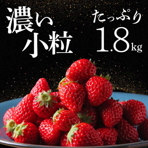 【2027年発送】大容量 小粒いちご   いちご