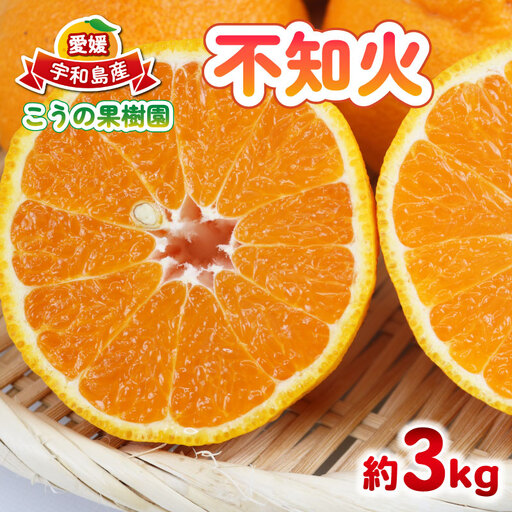 不知火 デコポン ( デコポン と同品種) 3kg こうの果樹園