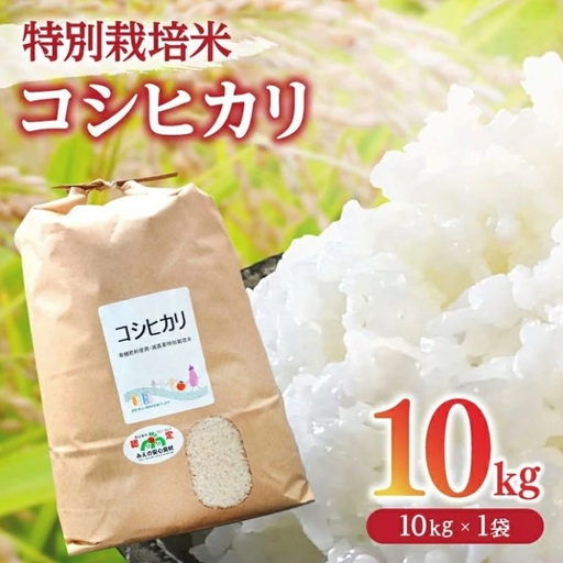 コシヒカリ精米 10kg [ コシヒカリ ] / 002308D