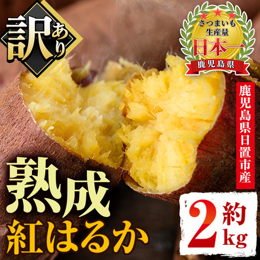 さつまいも サツマイモ 紅はるか 訳あり 2kg 末永商店 No.560-C