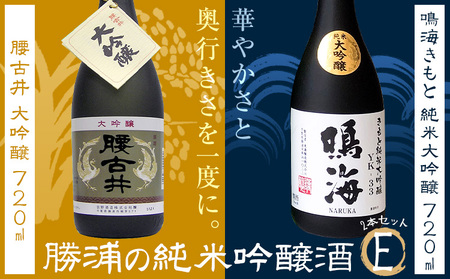 勝浦の大吟醸 720ml・2本入セットE 鳴海 きもと 純米 大吟醸720ml 腰古井 大吟醸720ml 有限会社 滝口商店[30日以内に出荷予定(土日祝除く)]千葉県 勝浦市 日本酒 酒 純米 吟醸