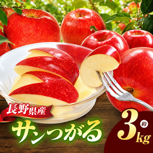 [2026年先行予約]サンつがる 約3kg | 浅野農園