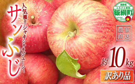 [ 訳あり品 ] りんご サンふじ 10kg ( 22玉 〜 40玉 ) 訳あり ふじ リンゴ 島田フルーツ農園 令和8年収穫分 2026年12月上旬から2027年1月下旬頃までお申込み順に発送予定 林檎 訳アリ わけあり 不揃い 果物 くだもの フルーツ 長野県産 長野 お試し 10キロ 長野県 飯綱町 [2073]