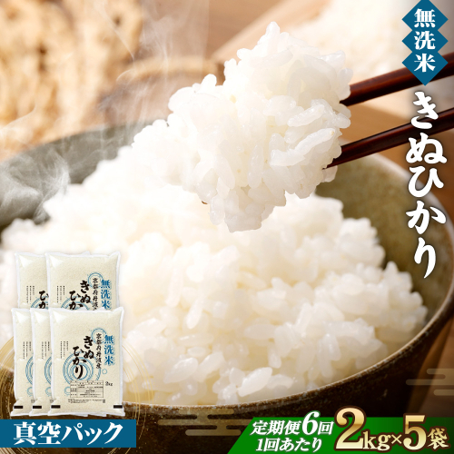 【6回定期便】【無洗米】丹波産キヌヒカリ 10kg 真空パック 無洗
