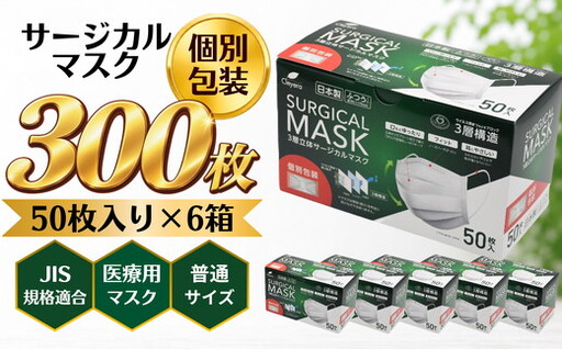 不織布 マスク 個別包装 ふつう サイズ 不織布/002318