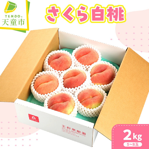 もも ( さくら白桃 ) 2kg フルーツ 果物 山形