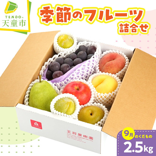 季節 の フルーツ 詰合せ 9月分 約 2.5kg 山形 フルーツ