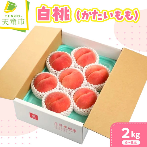かたいもも ( 白桃 ) 2kg フルーツ 果物 山形
