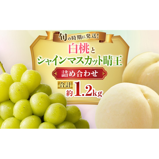 [2026年先行受付] 白桃 シャインマスカット 晴王 約1.2kg セット 桃 2玉 ぶどう 1房 岡山県産 御中元 ギフト 御礼 プレゼント 御礼 御祝 御供 果物 くだもの フルーツ もも モモ 葡萄 ブドウ